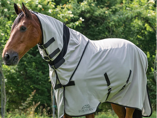 horse fly sheet